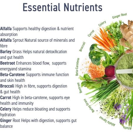 Applied Nutrition Critical Greens maisto papildas 250g - Image 2